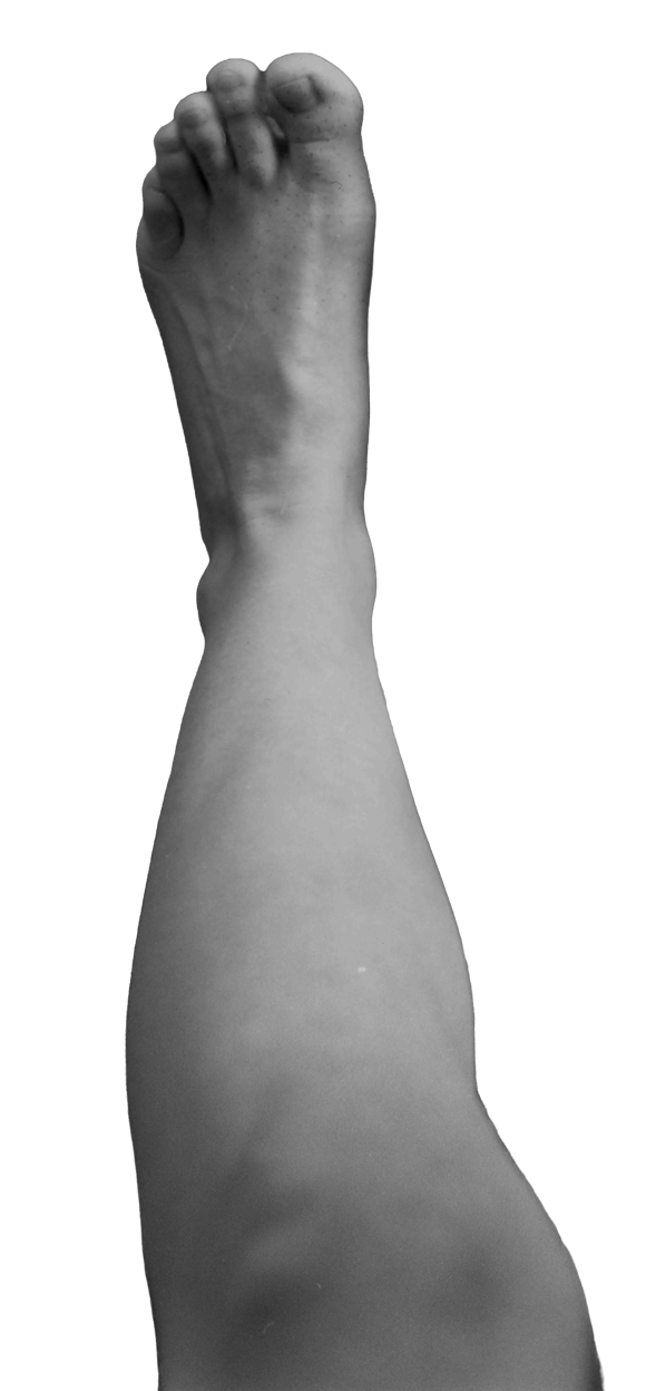 Left Foot